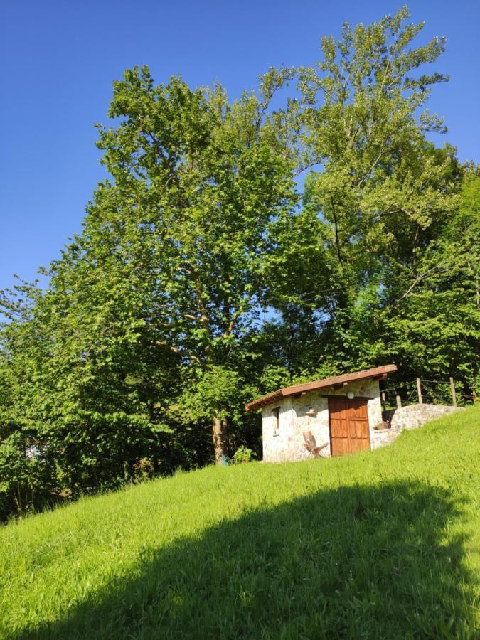Apartamentos Rurales La Caviana Cangas de Onís Exterior foto