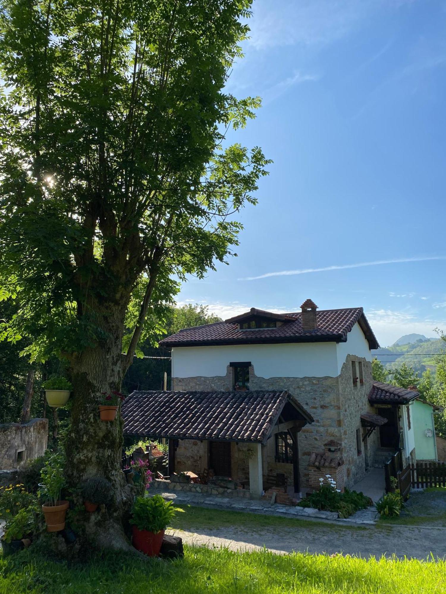 Apartamentos Rurales La Caviana Cangas de Onís Exterior foto